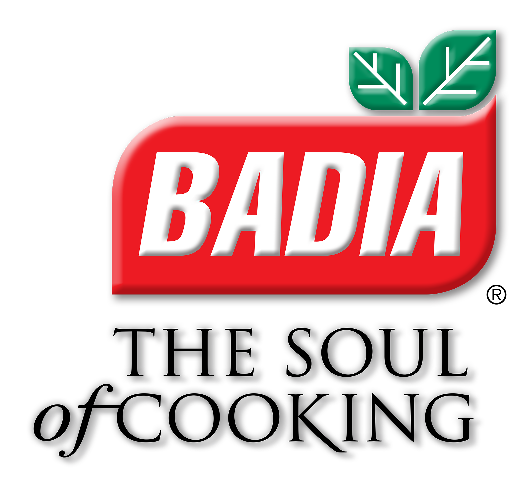 60-bd45c81ce7f6d7e1dceda5065db2a547_Badia_Logo_Soul_of_Cooking